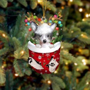 Chinese Crested Dog In Snow Pocket Christmas&hellip;