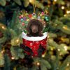 Chocolate Miniature Schnauzer In Snow Pocket Christmas Ornament – Flat Acrylic Dog Ornament