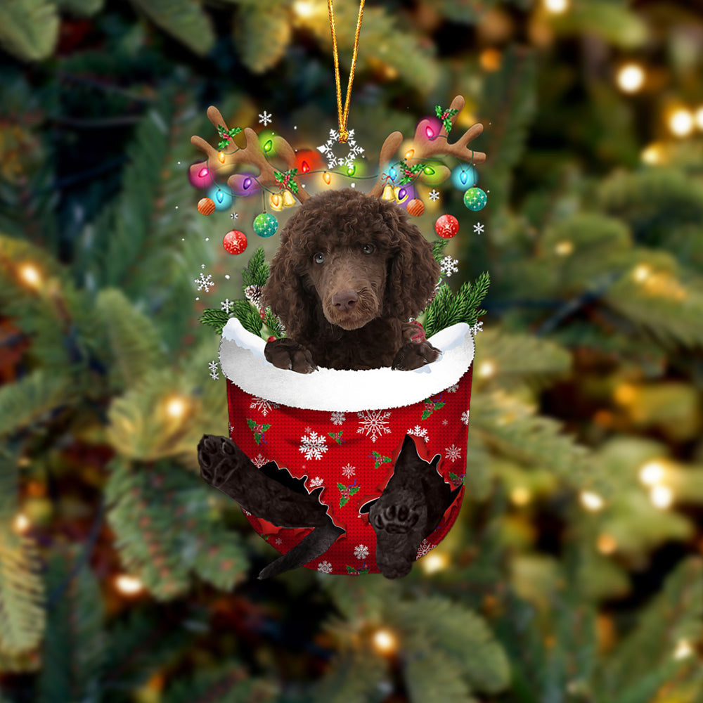 Chocolate Standard Poodle In Snow Pocket Christmas Ornament – Flat Acrylic Dog Ornament Chocolate Standard Poodle In Snow Pocket Christmas Ornament – Flat Acrylic Dog Ornament