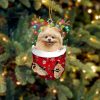 Cream Shih Tzu In Snow Pocket Christmas Ornament – Flat Acrylic Dog Ornament