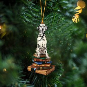 Dalmatian Sit On The Book Two Sides&hellip;