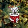 English Bulldog And Christmas Gift For Her Gift For Him Gift For English Bulldog Lover Ornament, Christmas Ornament English Bulldog And Christmas Gift For Her Gift For Him Gift For English Bulldog Lover Ornament, Christmas Ornament