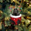 English Cocker Spaniel In Snow Pocket Christmas Ornament – Flat Acrylic Dog Ornament