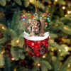 English Springer Spaniel  In Snow Pocket Christmas Ornament – Flat Acrylic Dog Ornament