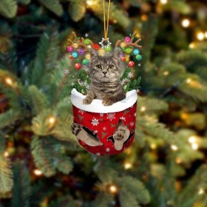 European Shorthair In Snow Pocket Christmas Ornament&hellip;