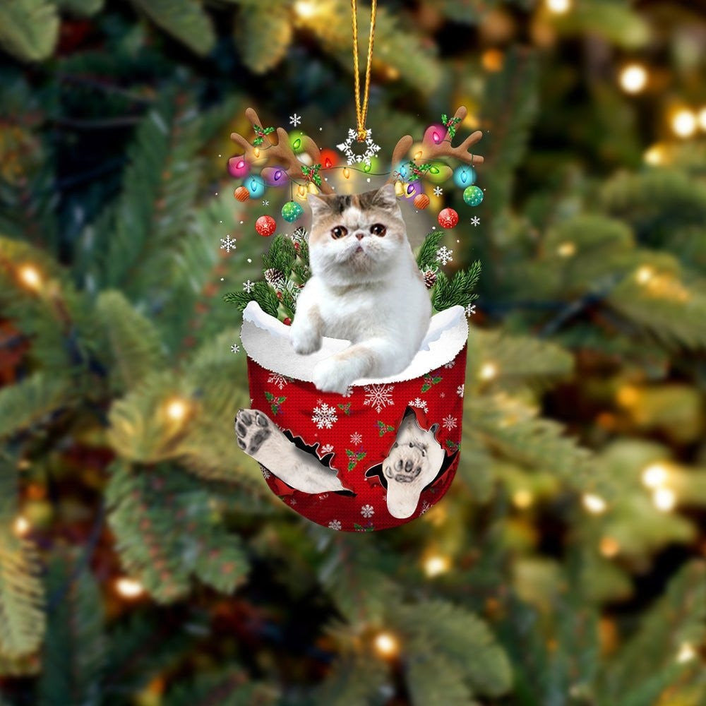 Exotic Shorthair In Snow Pocket Christmas Ornament – Dog Memorial Gift – Flat Acrylic Cat Ornament