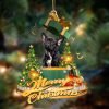 French Bulldog Cardinal & Truck Two Sided Christmas Plastic Hanging Ornament – Gifts For Dog Lovers