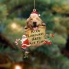 Golden Retriever-In Christmas Pocket Two Sides Christmas Plastic Hanging Ornament – Christmas Decor