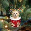 Golden Retriever-Sit On The Book Two Sides Christmas Plastic Hanging Ornament