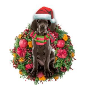 Great Dane Christmas Christmas Plastic Hanging Ornament&hellip;