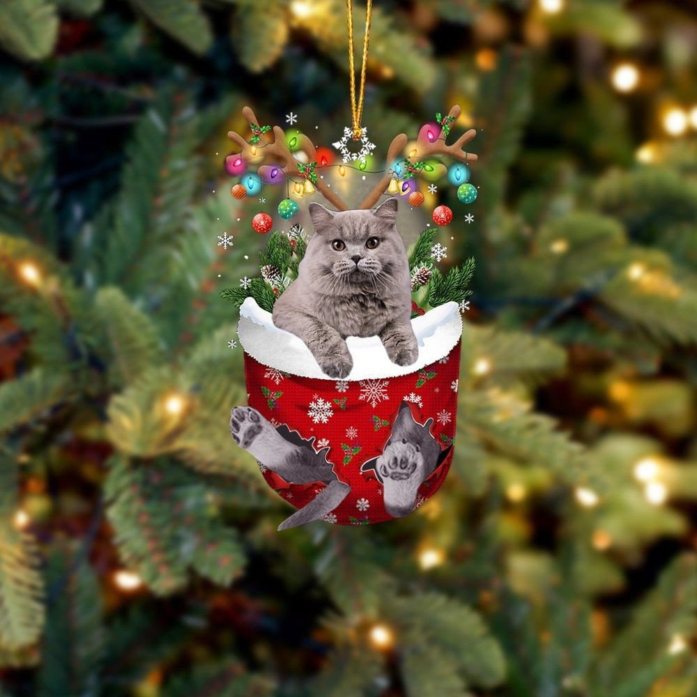 Grey Cat In Snow Pocket Christmas Ornament – Christmas Gift For Friends – Flat Acrylic Cat Ornament