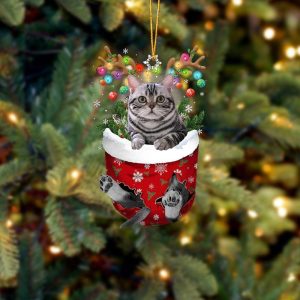 Grey Cat In Snow Pocket Christmas Ornament - Christmas Gift For Friends - Flat Acrylic Cat Ornament