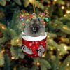Grey French Bulldog In Snow Pocket Christmas Ornament – Flat Acrylic Dog Ornament Grey French Bulldog In Snow Pocket Christmas Ornament – Flat Acrylic Dog Ornament