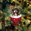 Havanese In Snow Pocket Christmas Ornament – Flat Acrylic Dog Ornament – Funny Ornament