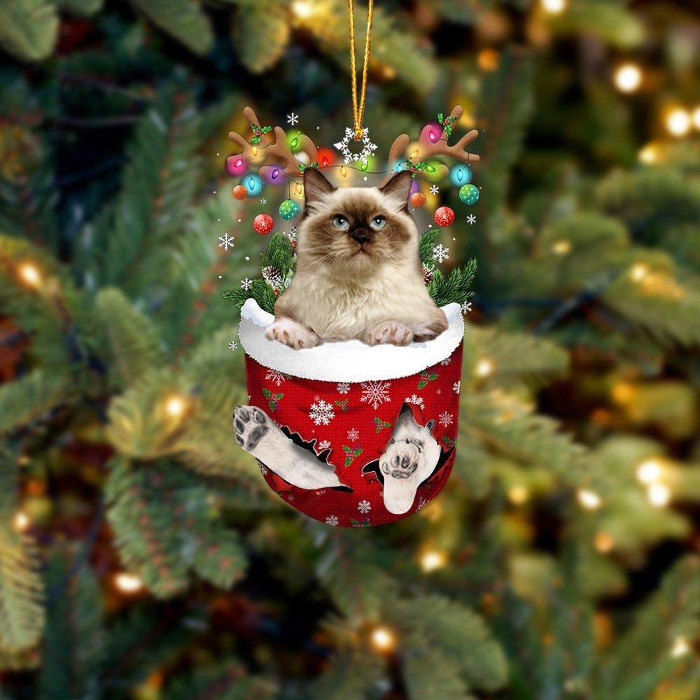 Himalayan In Snow Pocket Christmas Ornament – Flat Acrylic Cat Ornament Hanging Gift Himalayan In Snow Pocket Christmas Ornament – Flat Acrylic Cat Ornament Hanging Gift