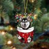 Husky-Sit On The Book Two Sides Christmas Plastic Hanging Ornament – Funny Ornament