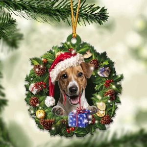 Jack Russell Terrier And Christmas Gift For&hellip;
