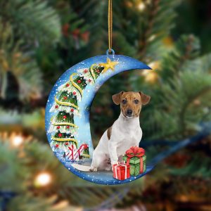 Jack Russell Terrier Sit On The Blue&hellip;