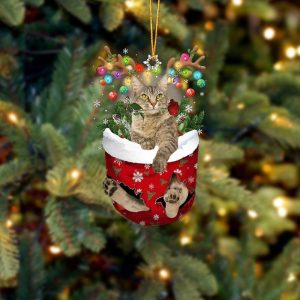 Laperm Cat In Snow Pocket Christmas Ornament&hellip;