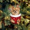 Long Haired White Chihuahua In Snow Pocket Christmas Ornament – Flat Acrylic Dog Ornament