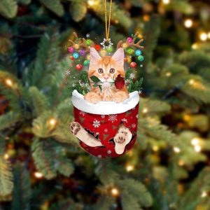 Maine Coon Cat In Snow Pocket Christmas&hellip;