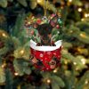 Newfoundland In Snow Pocket Christmas Ornament – Flat Acrylic Dog Ornament