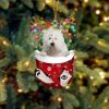 Papillon In Snow Pocket Christmas Ornament – Christmas Gift For Friends – Flat Acrylic Dog Ornament