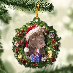 Pamaheart- Pitbull And Christmas Gift For Her&hellip;