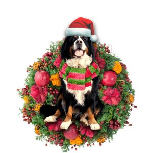Pamaheart Bernese Mountain Christmas Ornament, Happy Christmas&hellip;