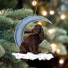 Pamaheart Boxer-Christmas House Two Sided Ornament, Happy Christmas Ornament, Car Ornament, Dog Memorial Gift