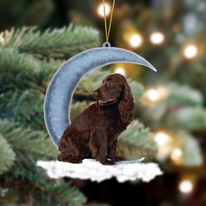 Pamaheart Boykin Spaniel Sits On The Moon&hellip;