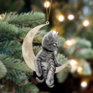 Pamaheart Cat Sits On The Moon Hanging&hellip;