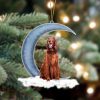 Pamaheart Horse Sits On The Moon Hanging Ornament Dog Ornament, Car Ornament, Christmas Ornament