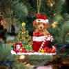 Pamaheart Poodle With Santa Christmas Ornament, Happy Christmas Ornament, Car Ornament, Christmas Decor