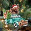 Pekingese Christmas Christmas Plastic Hanging Ornament – 2022 Christmas Ornament