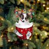 Papillon In Snow Pocket Christmas Ornament – Flat Acrylic Dog Ornament – Dog Memorial Gift