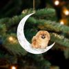 Penguin Sleeping In A Tiny Cup Christmas Holiday-Two Sided Christmas Plastic Hanging Ornament – Funny Ornament