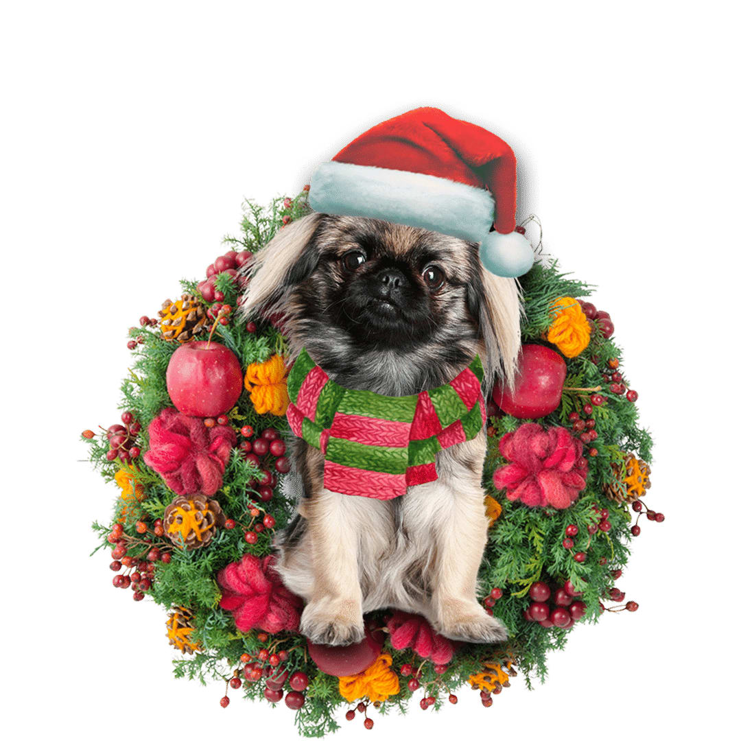 Pekingese Christmas Christmas Plastic Hanging Ornament – 2022 Christmas Ornament