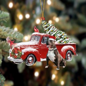 Pitbull Cardinal & Truck Two Sided Christmas&hellip;