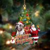 Pitbull Dog-Santa & Dog Hanging Christmas Plastic Hanging Ornament Dog Memorial Gift