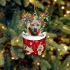 Pitbull  In Snow Pocket Christmas Ornament – Funny Ornament – Flat Acrylic Dog Ornament