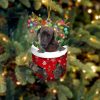 Pitbulll In Snow Pocket Christmas Ornament – Christmas Gift For Friends – Flat Acrylic Dog Ornament
