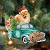 Pomeranian-Sit On The Book Two Sides Christmas Plastic Hanging Ornament Gifts For Dog Lovers