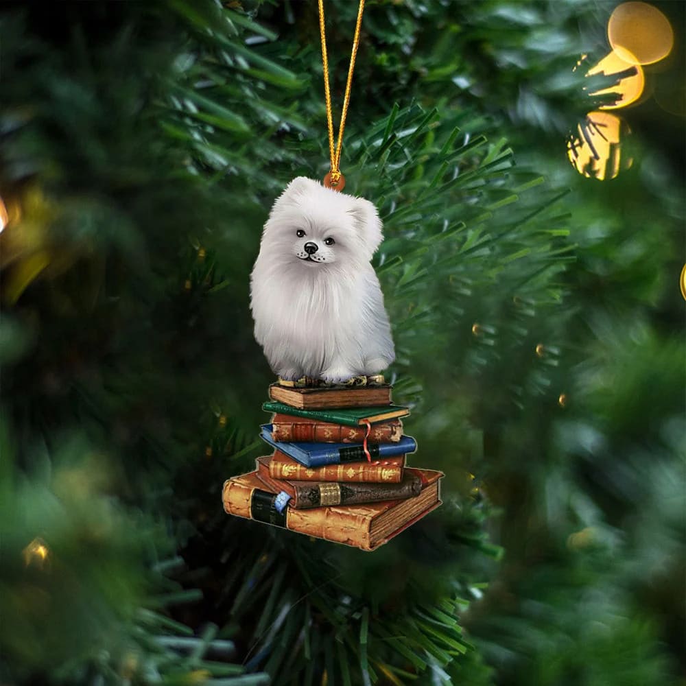 Pomeranian-Sit On The Book Two Sides Christmas Plastic Hanging Ornament Gifts For Dog Lovers