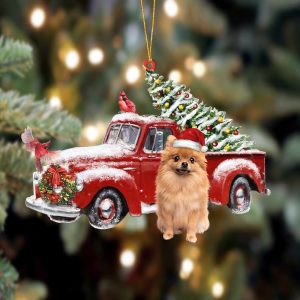 Pomeranian Cardinal & Truck Two Sided Christmas&hellip;