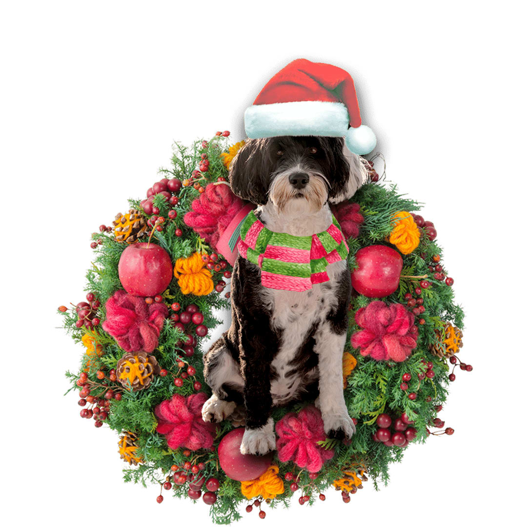 Portuguese Water Dog Christmas Christmas Plastic Hanging Ornament Dog Memorial Gift