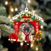 Puggle Dogs Give Gifts Hanging Christmas Plastic Hanging Ornament – Christmas Decor