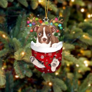 Red Boston Terrier In Snow Pocket Christmas&hellip;