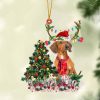 Red Dachshund-Xmas Boot-Two Sided Christmas Plastic Hanging Ornament – Christmas Decor