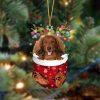 Red Long Haired Dachshund-Star Tree Hanging Christmas Plastic Hanging Ornament – Funny Ornament